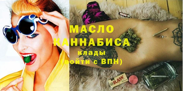 дживик Надым
