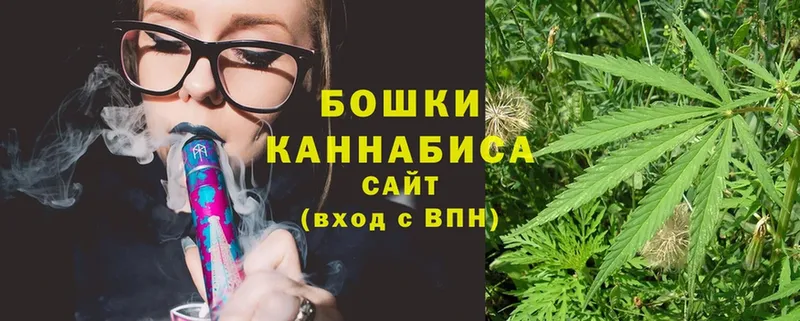 Бошки марихуана SATIVA & INDICA  закладка  Почеп 